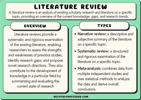 Foster Care Literature Review